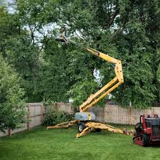 Best Arborist Consultation Services  in River Hills, WI