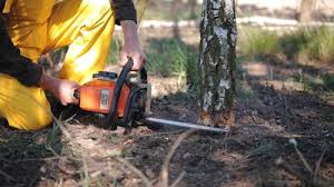 Best Lawn Watering Services  in River Hills, WI