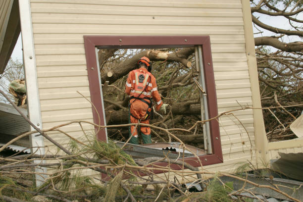 Reliable River Hills, WI Tree Services Solutions