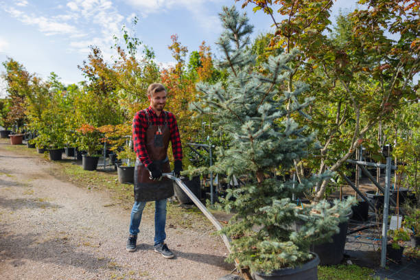 Best Tree Maintenance Programs  in River Hills, WI